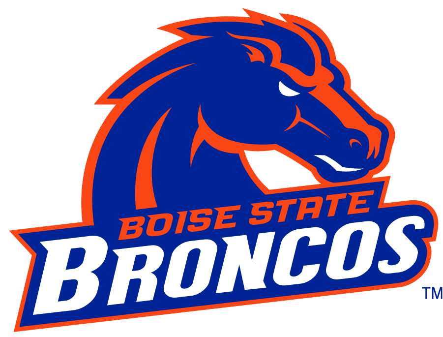 Boise State Broncos 2002-2012 Secondary Logo v13 iron on transfers for clothing